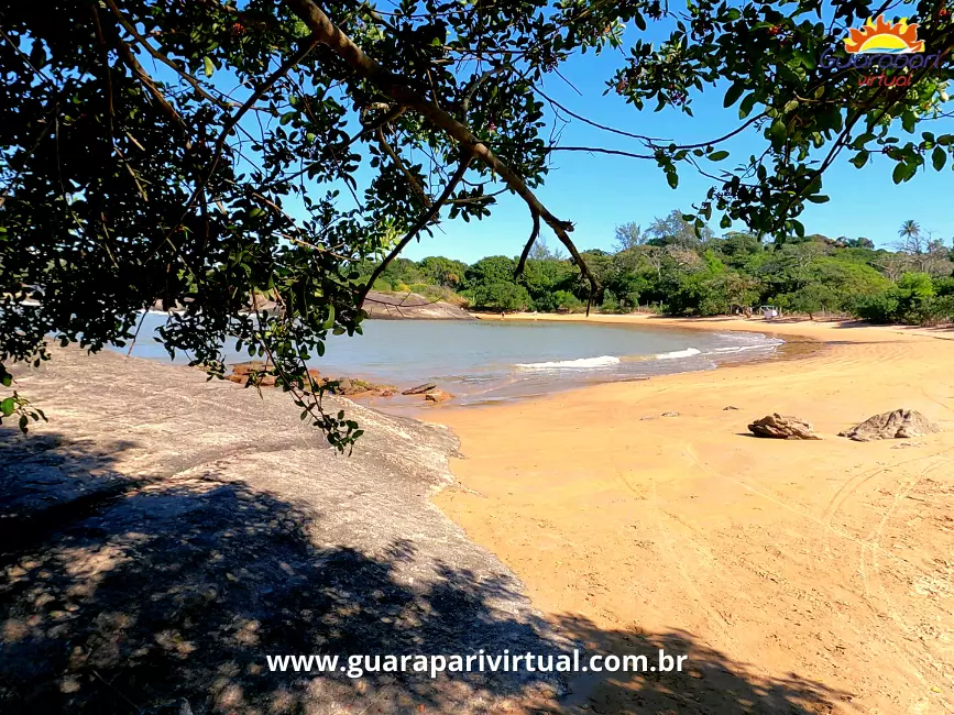 Sombra de &aacute;rvores na areia da Praia Mateus Lopes, em Guarapari