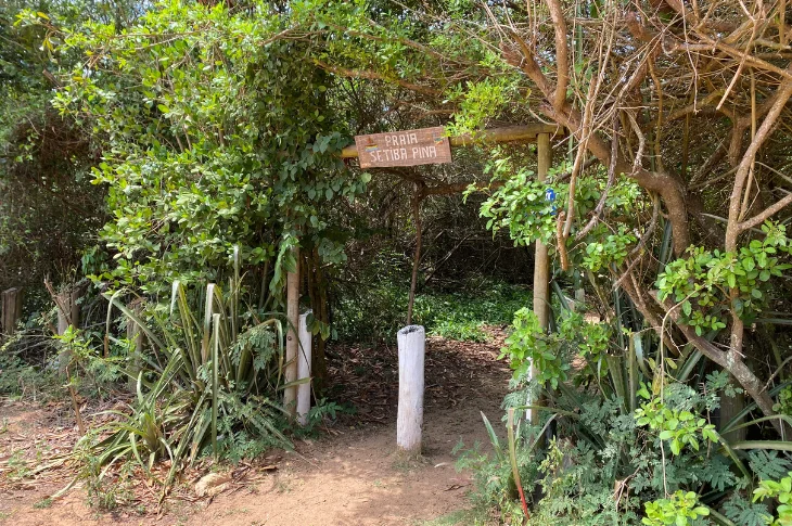 Entrada de trilha entre a vegeta&ccedil;&atilde;o de restinga que leva &agrave; Praia de Setiba Pina, em Guarapari