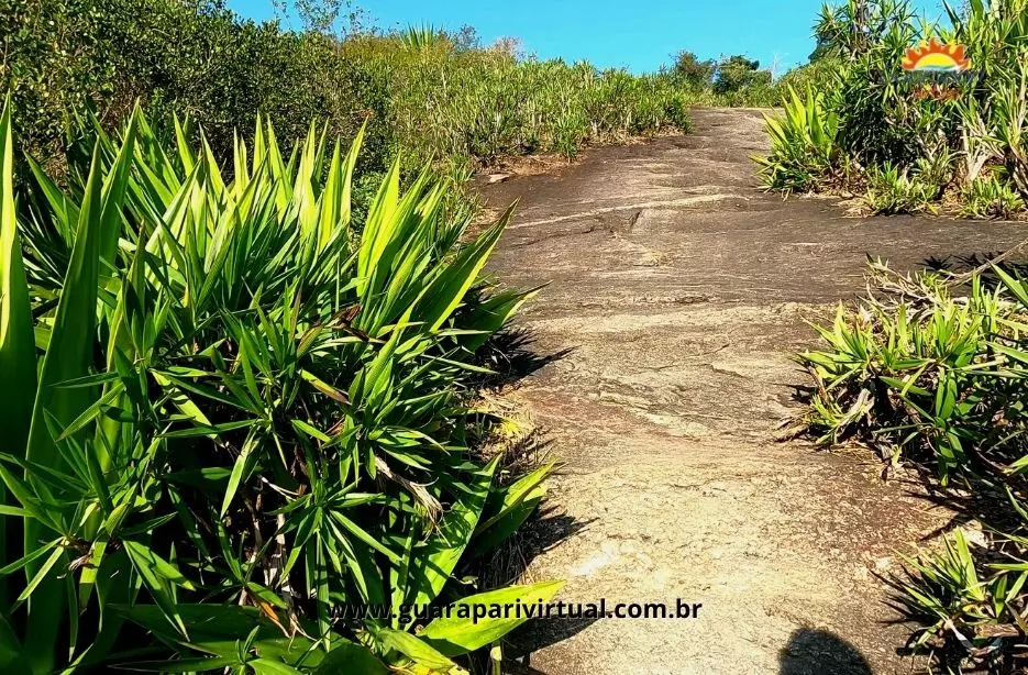 Caminho sobre a rocha entre a vegeta&ccedil;&atilde;o na trilha da Pedra de Jesus, em Guarapari