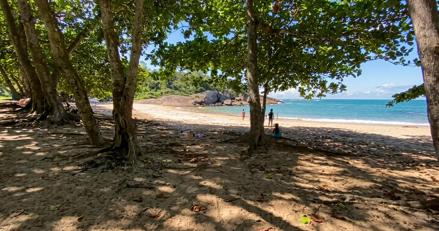 &Aacute;rvores fazendo sombra na areia da Praia dos Padres, com o mar azul ao fundo, em Guarapari