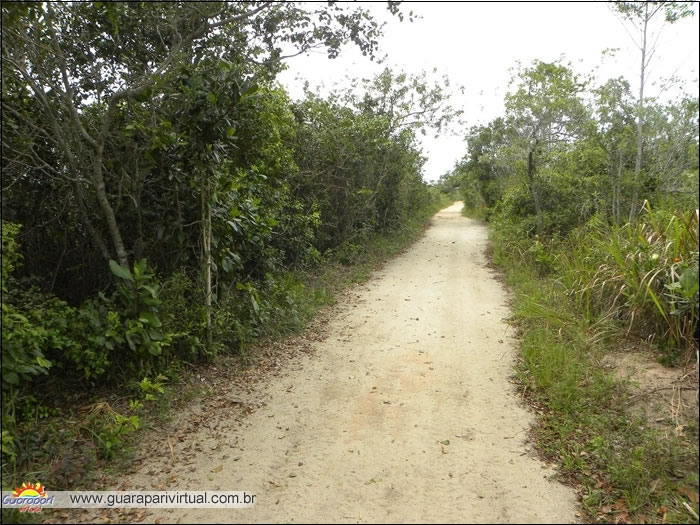 Estrada de terra de acesso &agrave; sede do Parque Estadual Paulo C&eacute;sar Vinha, em Guarapari