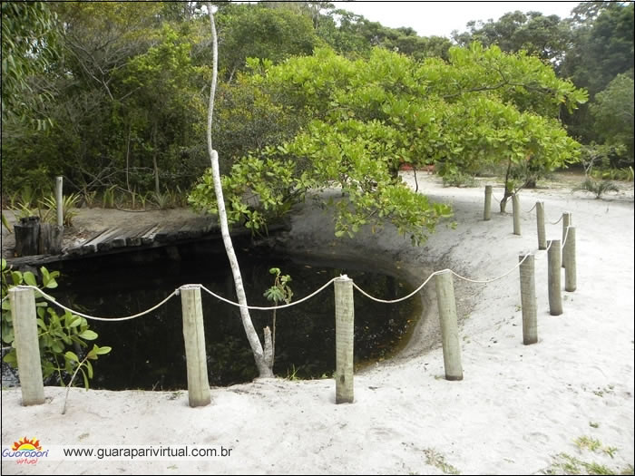 &Aacute;rea alagada cercada pela vegeta&ccedil;&atilde;o no Parque Estadual Paulo C&eacute;sar Vinha, em Guarapari