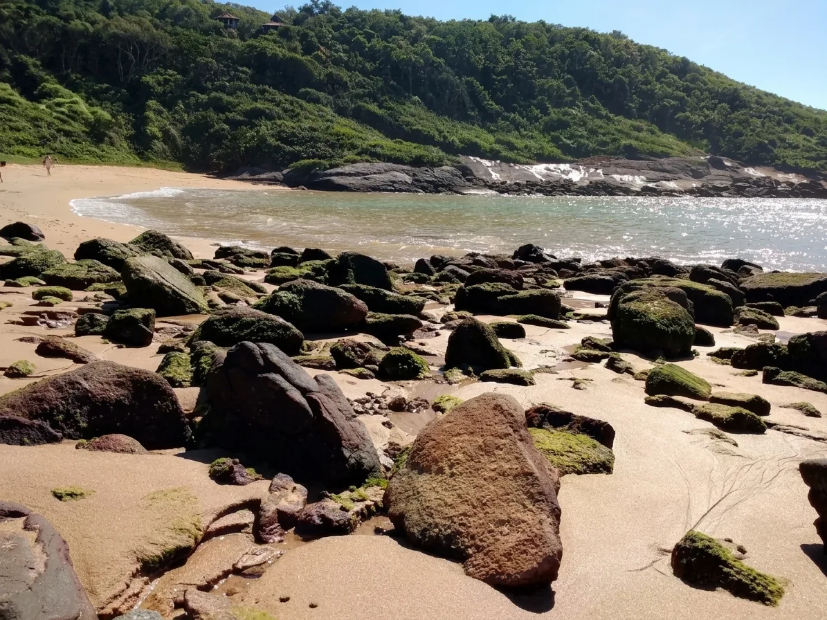 Pedras com algas na areia da Praia do Ermit&atilde;o, com a mata do Morro da Pescaria ao fundo